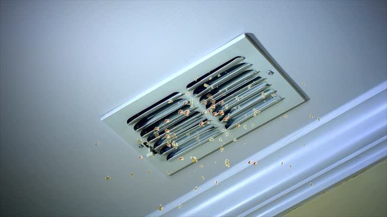 Best Air Duct Cleaning Company Near Me  in Amity Gardens, PA