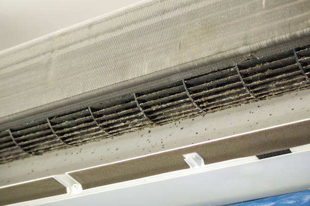 Best Air Vent Cleaning Services  in Amity Gardens, PA